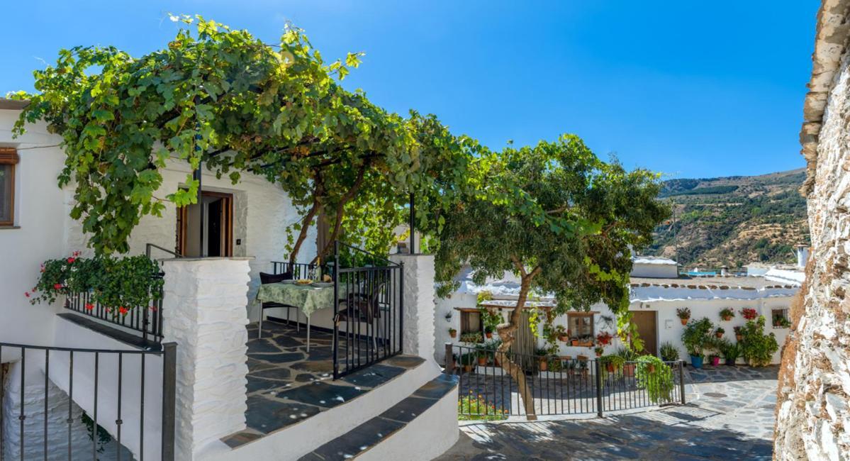 Apartamento Casa Antonia Capileira La Alpujarra Exterior foto