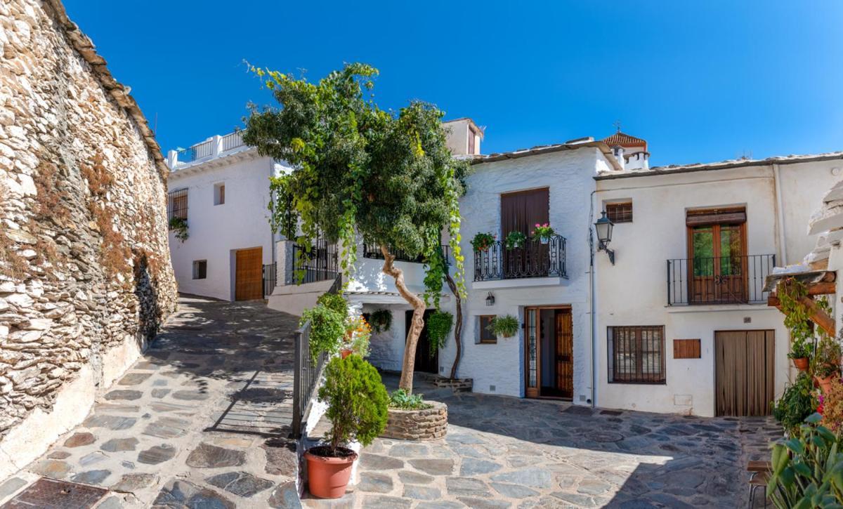 Apartamento Casa Antonia Capileira La Alpujarra Exterior foto