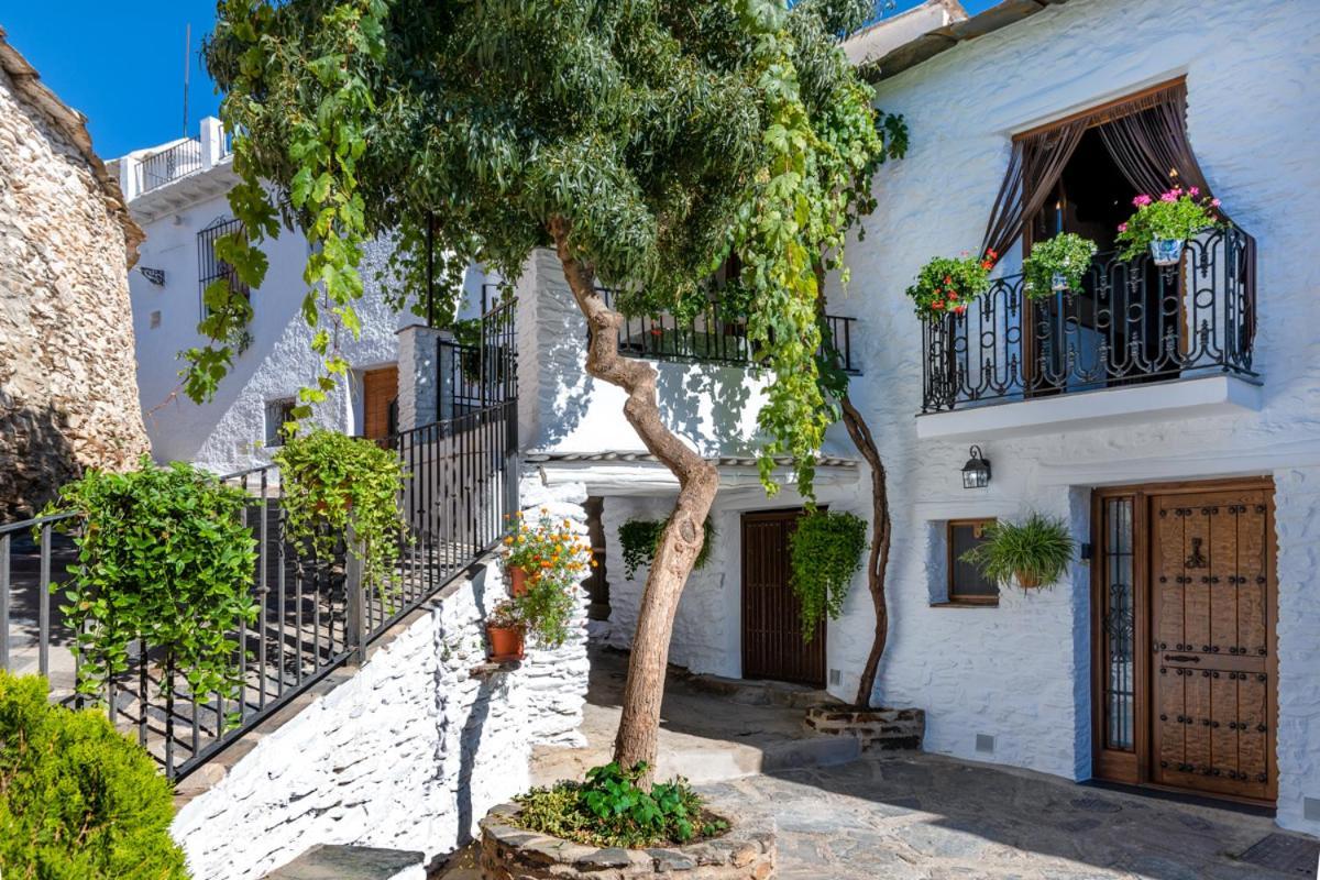 Apartamento Casa Antonia Capileira La Alpujarra Exterior foto